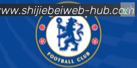 FIFA世界杯买球官方网站合作伙伴